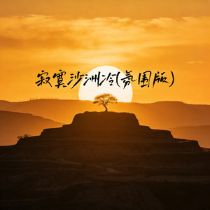 寂寞沙洲冷 (氛围版)