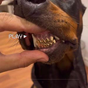 June Road (Explicit)