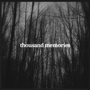 Thousand Memories (feat. Vinsea) [Explicit]