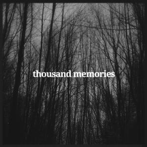Thousand Memories(feat. Vinsea) (Explicit)