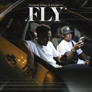 FLY (Explicit)