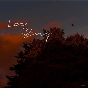 Dr.Rick-Love Story（Lovely Ds（LD） remix）