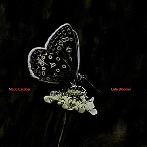 Late Bloomer (Explicit)