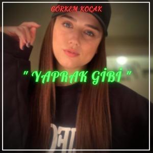 Yaprak Gibi (feat. Zehra Gülüç) [Görkem Koçak & Emre Tamer Remix]