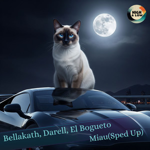 Miau (Sped Up|Explicit)