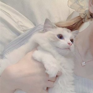 王向东工程设备