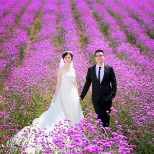 红妆丽媛送郎谣