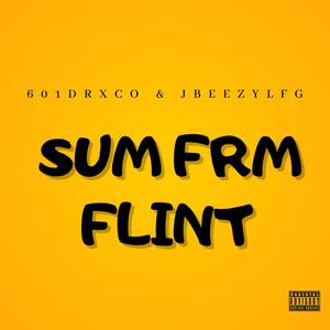 SUM FRM FLINT (feat. Jbeezy.Lfg) [Explicit]