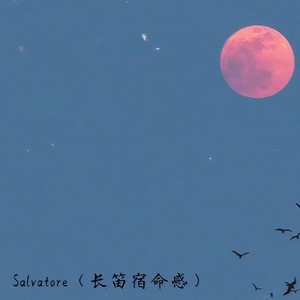Salvatore（长笛宿命感）