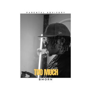 Too Much (feat. Djay JC) (Explicit)