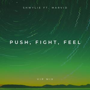 Push, Fight, Feel (feat. Marvid) (VIP Mix)