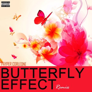 Butterfly Effect Cover