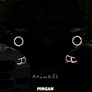 Animals