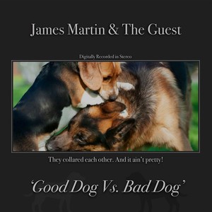 Good Dog vs. Bad Dog (Explicit)