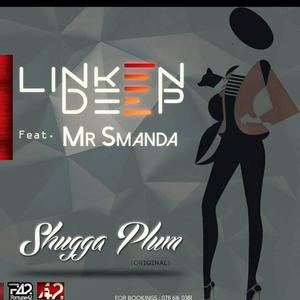 Shugga Plum (feat. Mr Smanda)