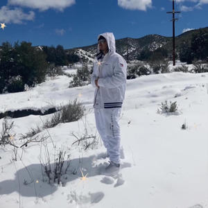 Strictly Risk Takers (feat. CHAPIS) (Explicit)