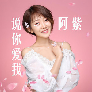 说你爱我 (伴奏)