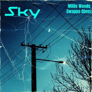 Sky (feat. Gwappo & Qbeez) (Explicit)