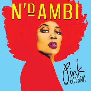 N'dambi - Daisy Chain (Album)