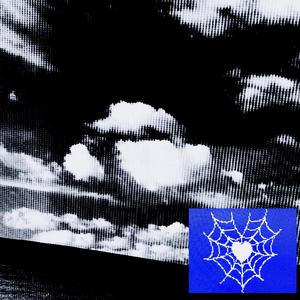 contradiction (Explicit)