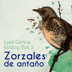 Zorzales de Antaño / Juan Carlos Godoy, Vol. 2