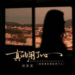 真的用了心（我是真的真的用了心） (DJ版)