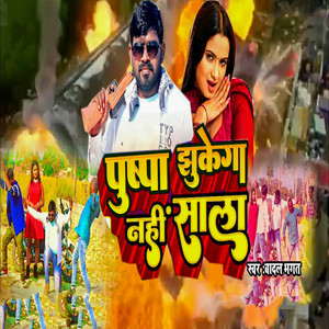 Pushpa Jhukega Nahi Sala