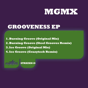 Ice Groove (Original Mix)