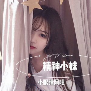 精神小妹 (DJ版)