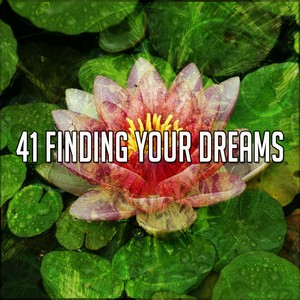 41 Finding Your Dreams