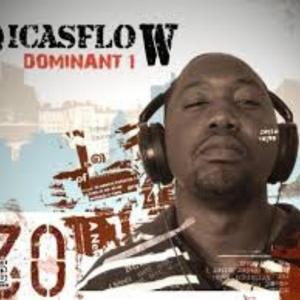 Picasflow (Explicit)