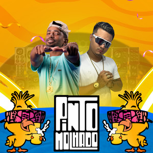 PINTO MOLHADO (Explicit)