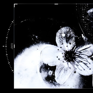 Don't go away (Explicit)