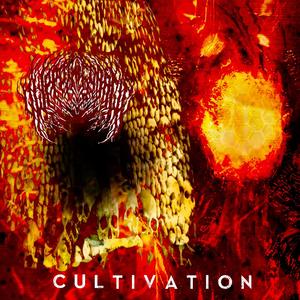 Cultivation (Explicit)