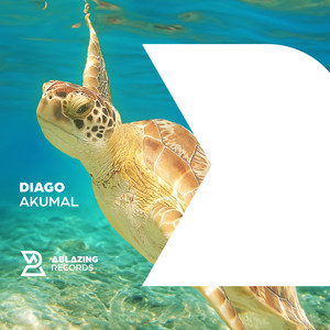 Akumal (Extended Mix)