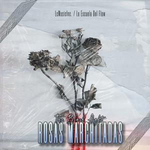 Rosas Marchitadas