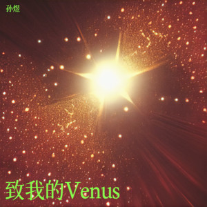 致我的Venus