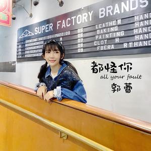 32bit-都怪你 (郭蕾 remix)