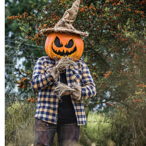 Scarecrows & DeadBodies