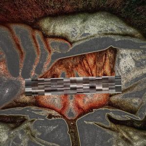 NO FACE NO CASE (Explicit)