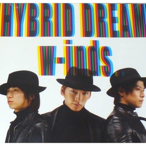 Rain Is Fallin' ／ HYBRID DREAM (初回盤B)