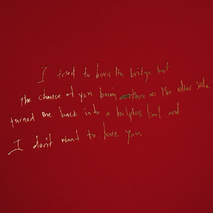 I Don't Wanna Love You