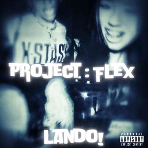 PROJECT:FLEX (Explicit)