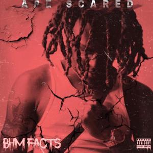 Ape Scared