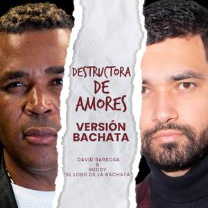 Destructora De Amores (Versión Bachata)
