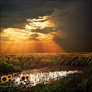 脚印随大雪化掉的时候，