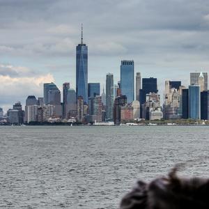 Zerua - You Need to Know