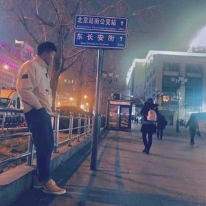 南燕 (DJ版)
