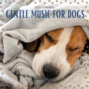 A Gentle Song for Dogs