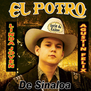 Serie De Exitos Linda Joven Y Agustin Felix